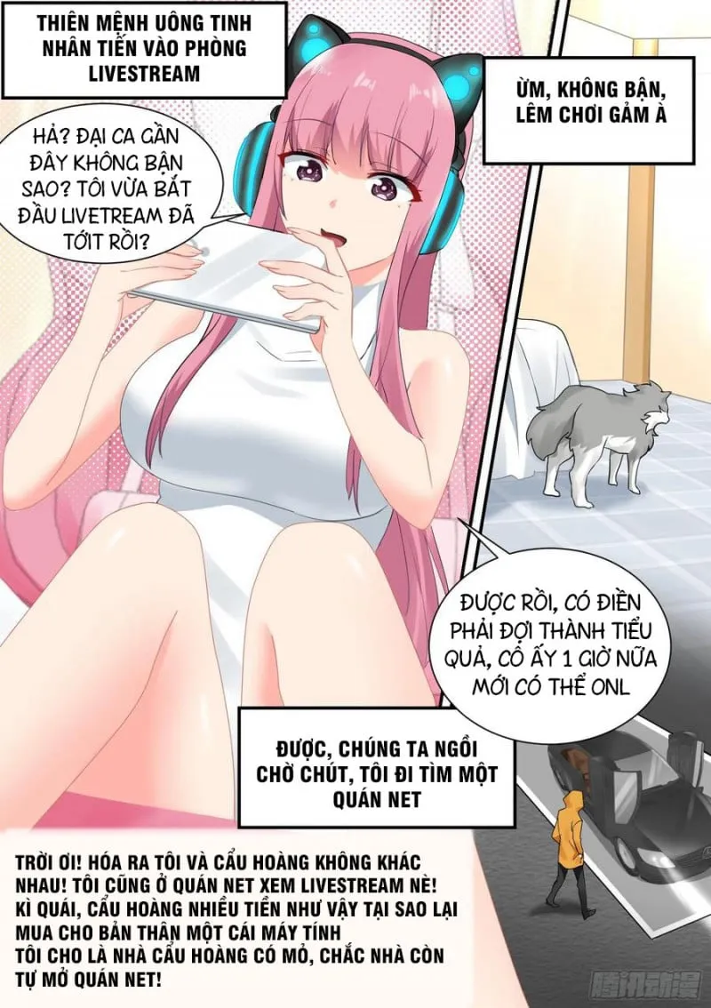 Husky Toàn Năng Của Nữ Thần Chapter 35 - Trang 15