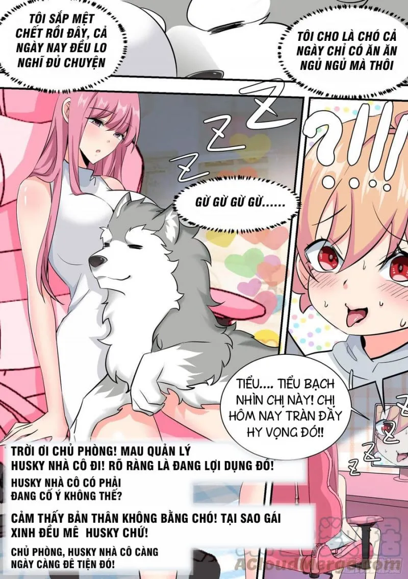 Husky Toàn Năng Của Nữ Thần Chapter 35 - Trang 8