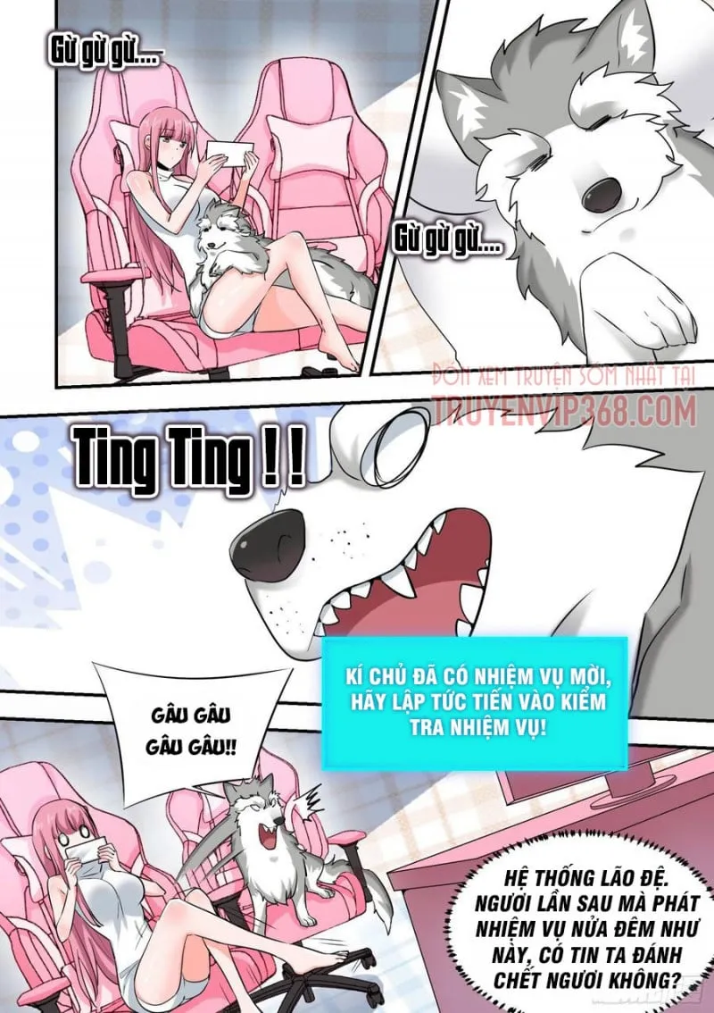 Husky Toàn Năng Của Nữ Thần Chapter 35 - Trang 9