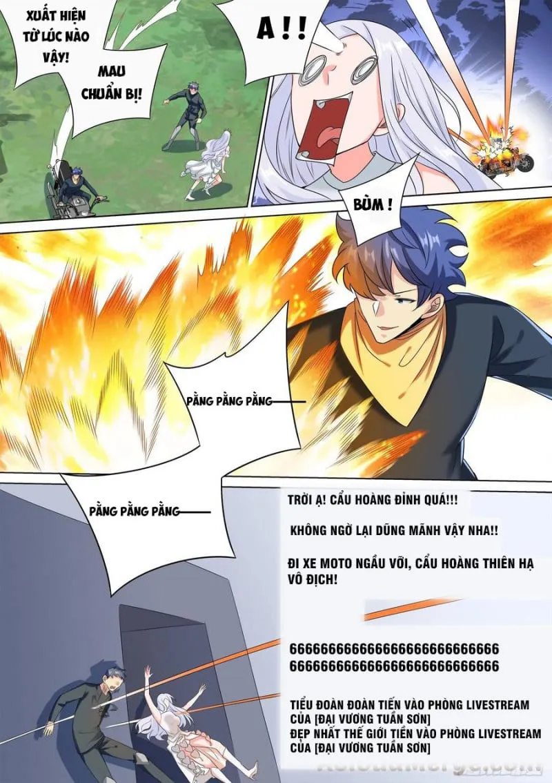 Husky Toàn Năng Của Nữ Thần Chapter 38 - Trang 12