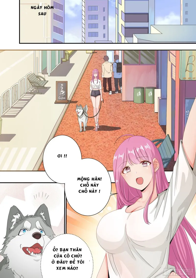 Husky Toàn Năng Của Nữ Thần Chapter 4 - Trang 10