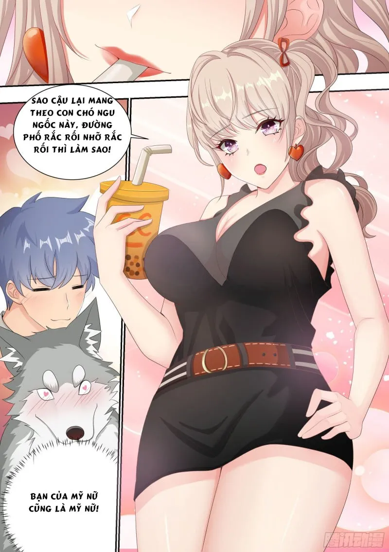 Husky Toàn Năng Của Nữ Thần Chapter 4 - Trang 11