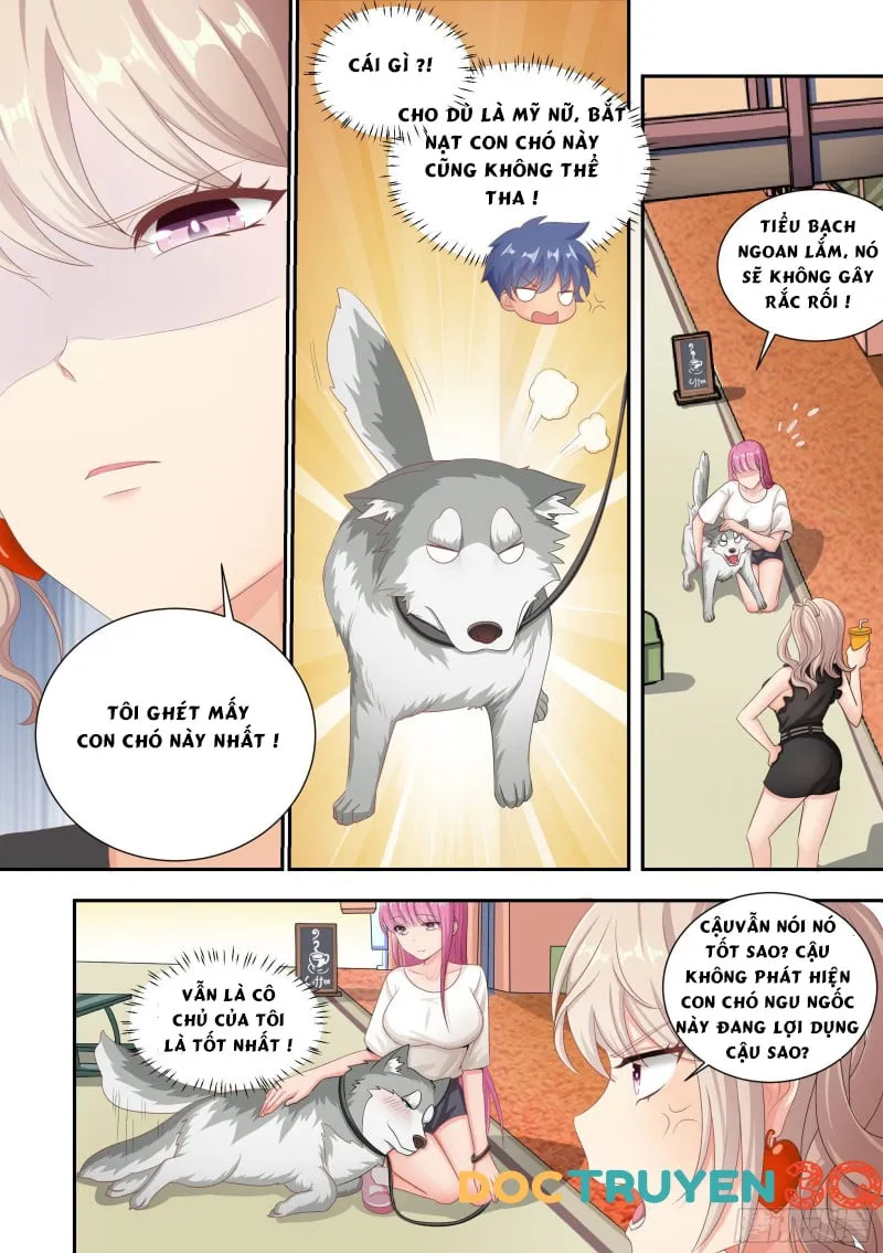 Husky Toàn Năng Của Nữ Thần Chapter 4 - Trang 12
