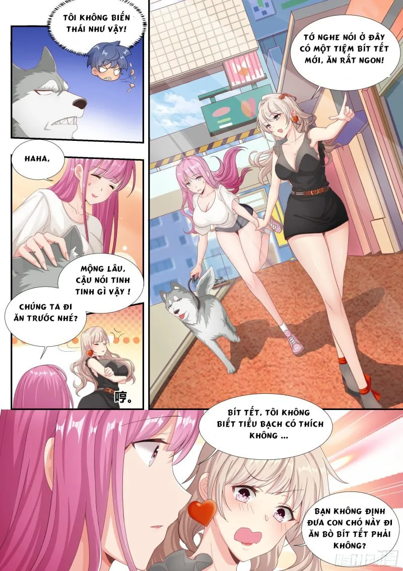 Husky Toàn Năng Của Nữ Thần Chapter 4 - Trang 13