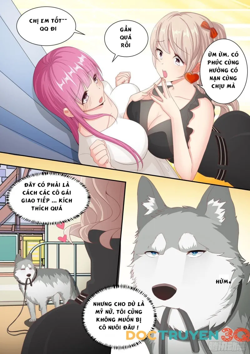 Husky Toàn Năng Của Nữ Thần Chapter 4 - Trang 17