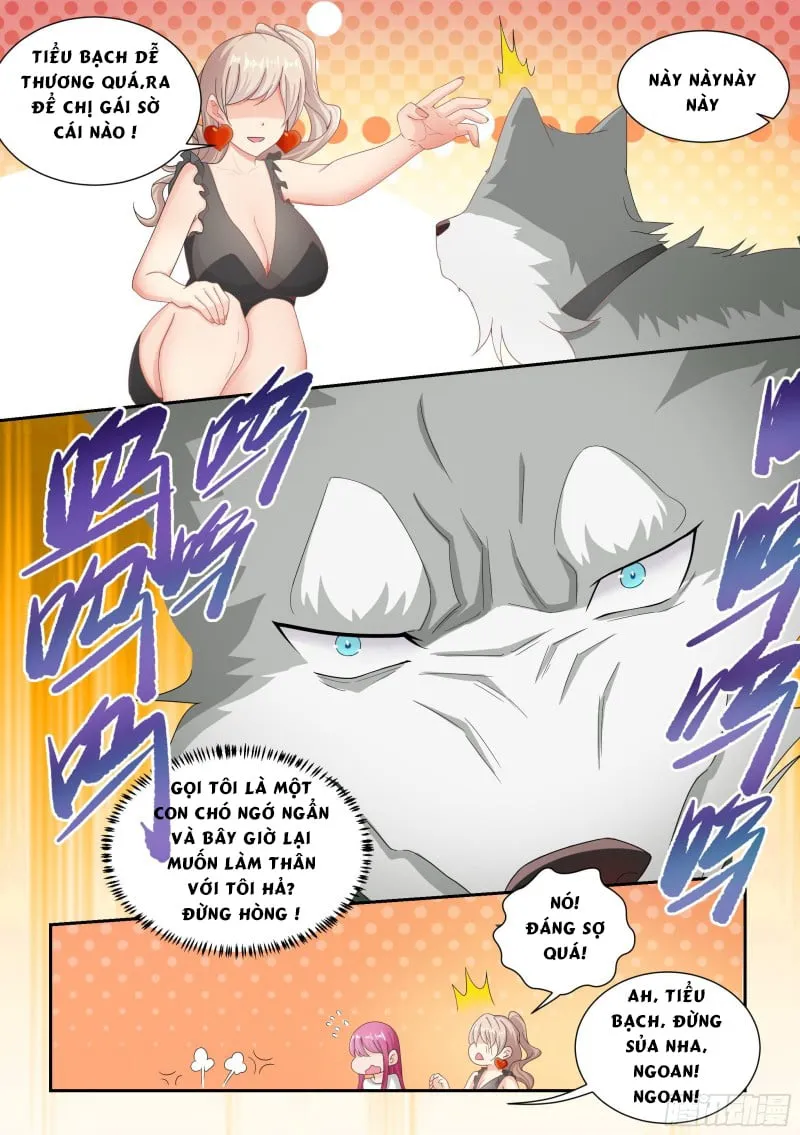 Husky Toàn Năng Của Nữ Thần Chapter 4 - Trang 18