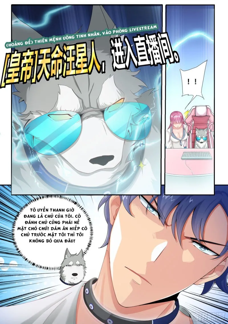 Husky Toàn Năng Của Nữ Thần Chapter 4 - Trang 4