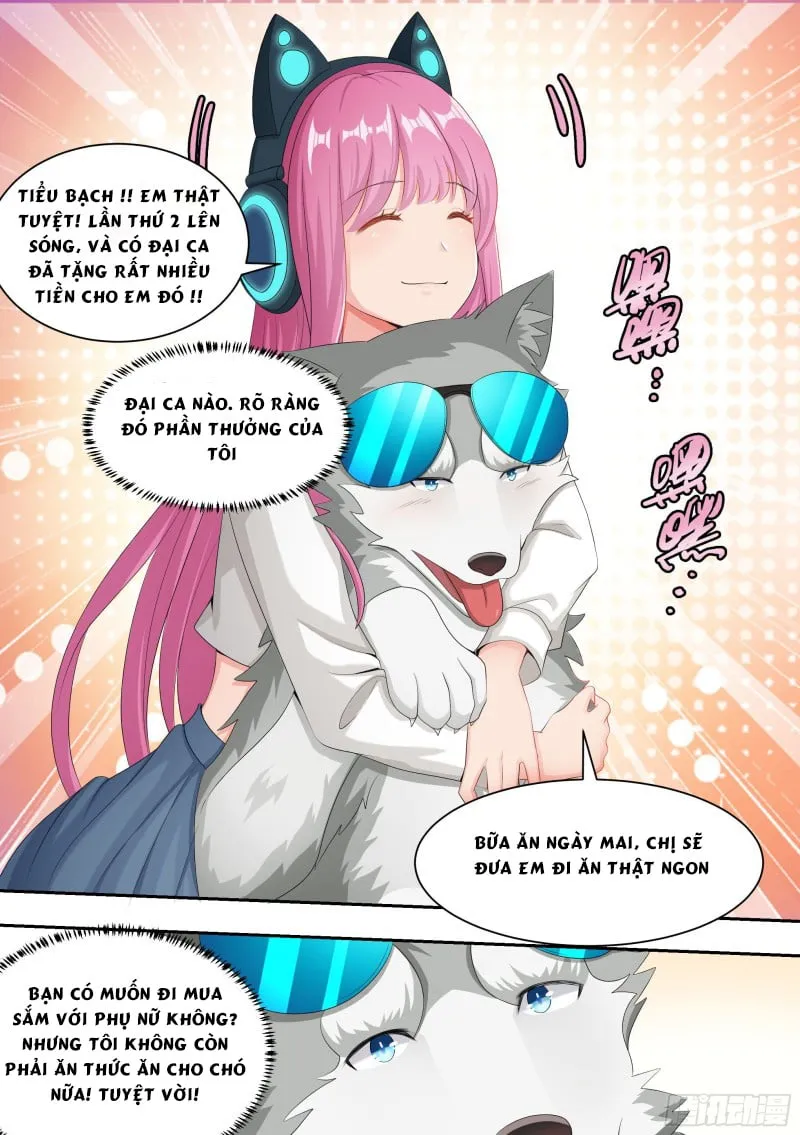 Husky Toàn Năng Của Nữ Thần Chapter 4 - Trang 9