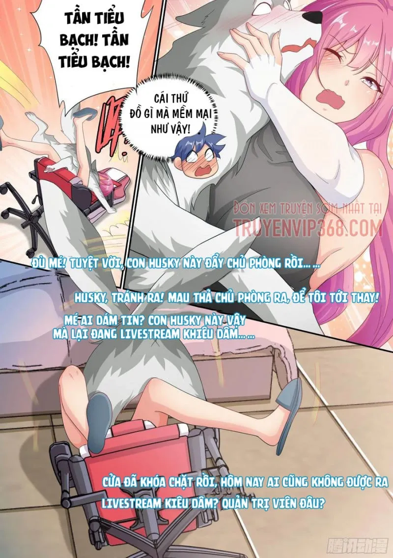 Husky Toàn Năng Của Nữ Thần Chapter 6 - Trang 5