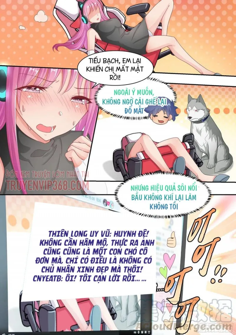 Husky Toàn Năng Của Nữ Thần Chapter 6 - Trang 6