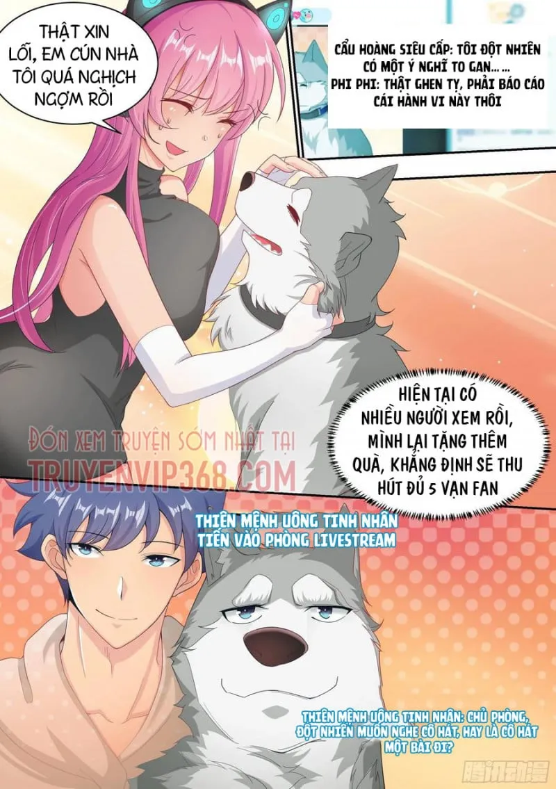 Husky Toàn Năng Của Nữ Thần Chapter 6 - Trang 7