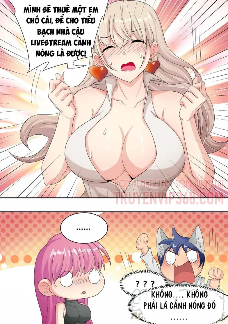 Husky Toàn Năng Của Nữ Thần Chapter 7 - Trang 12