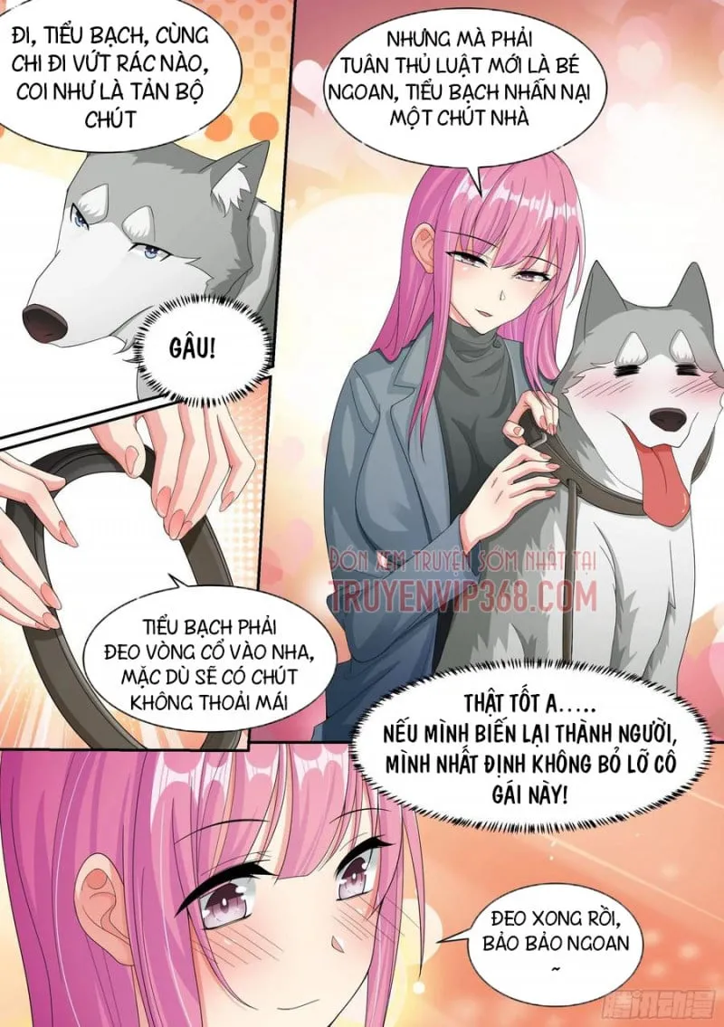 Husky Toàn Năng Của Nữ Thần Chapter 7 - Trang 17