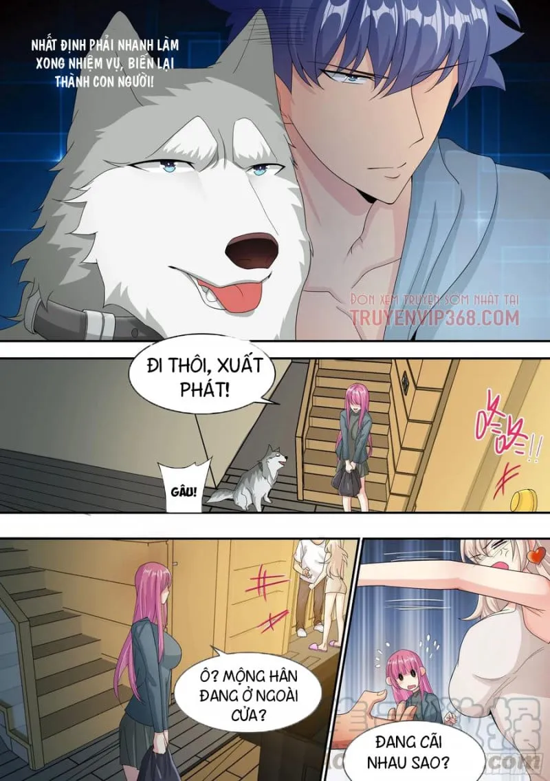 Husky Toàn Năng Của Nữ Thần Chapter 7 - Trang 18