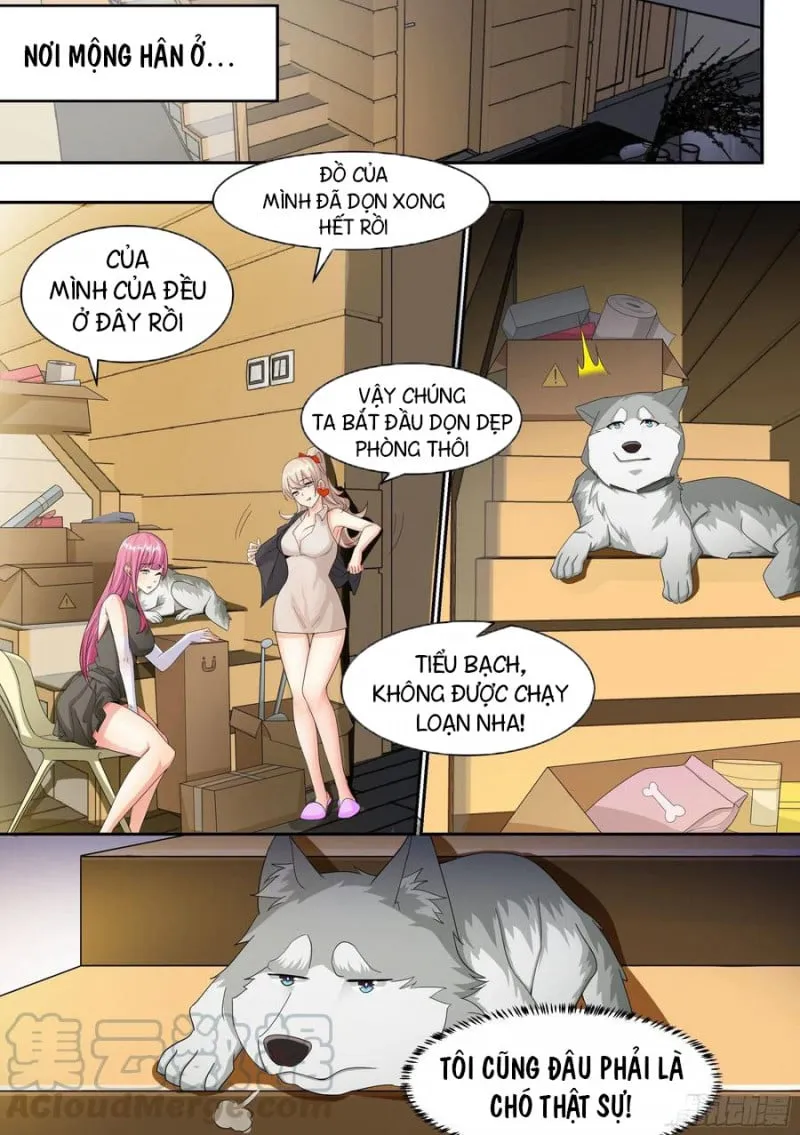 Husky Toàn Năng Của Nữ Thần Chapter 7 - Trang 8