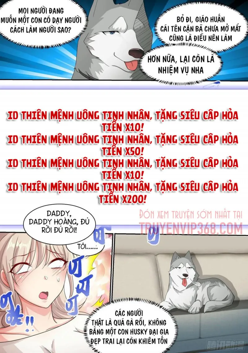 Husky Toàn Năng Của Nữ Thần Chapter 8 - Trang 21