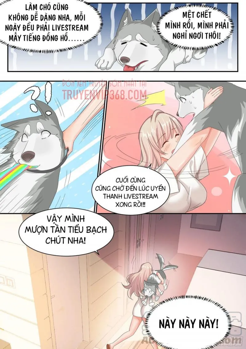 Husky Toàn Năng Của Nữ Thần Chapter 8 - Trang 8