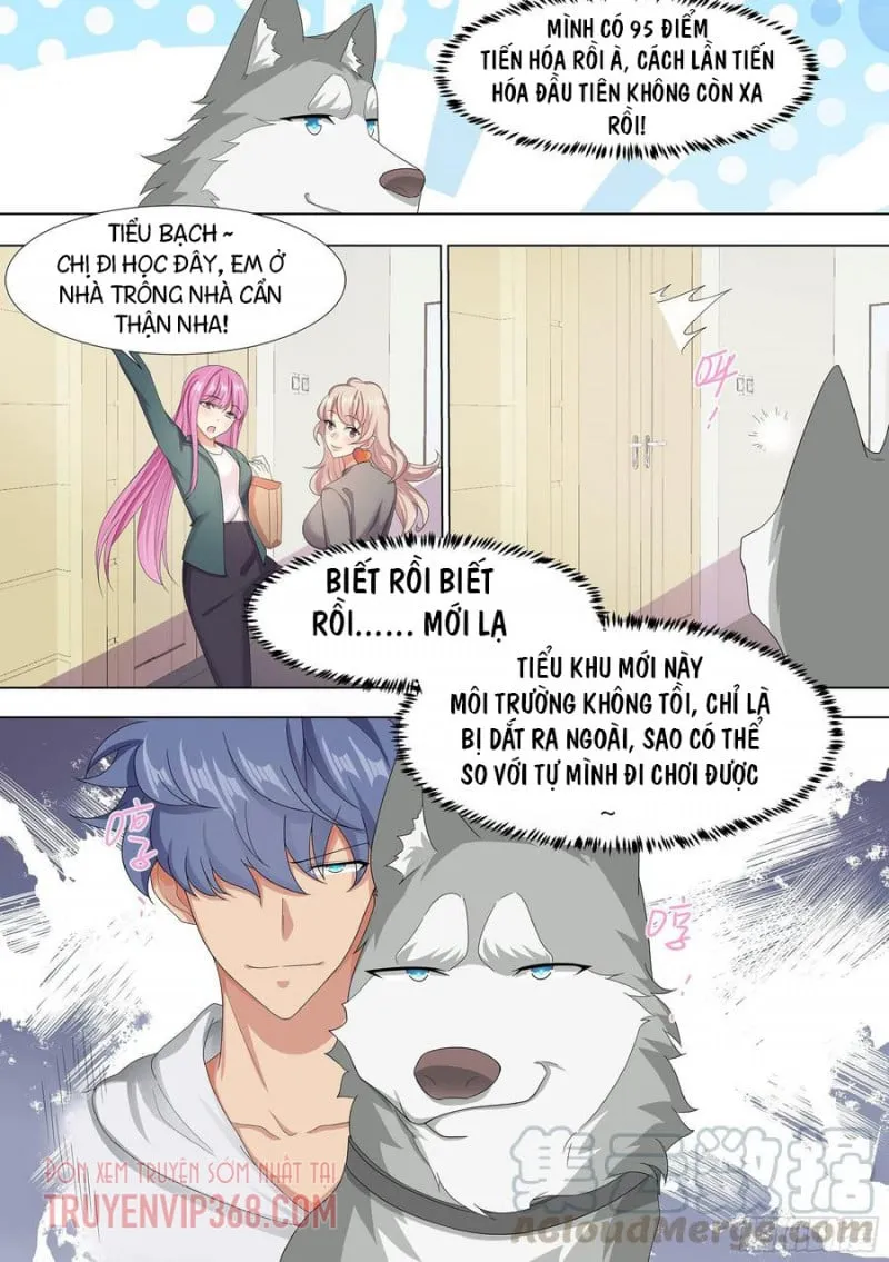 Husky Toàn Năng Của Nữ Thần Chapter 9 - Trang 12