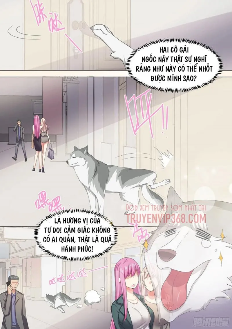 Husky Toàn Năng Của Nữ Thần Chapter 9 - Trang 13