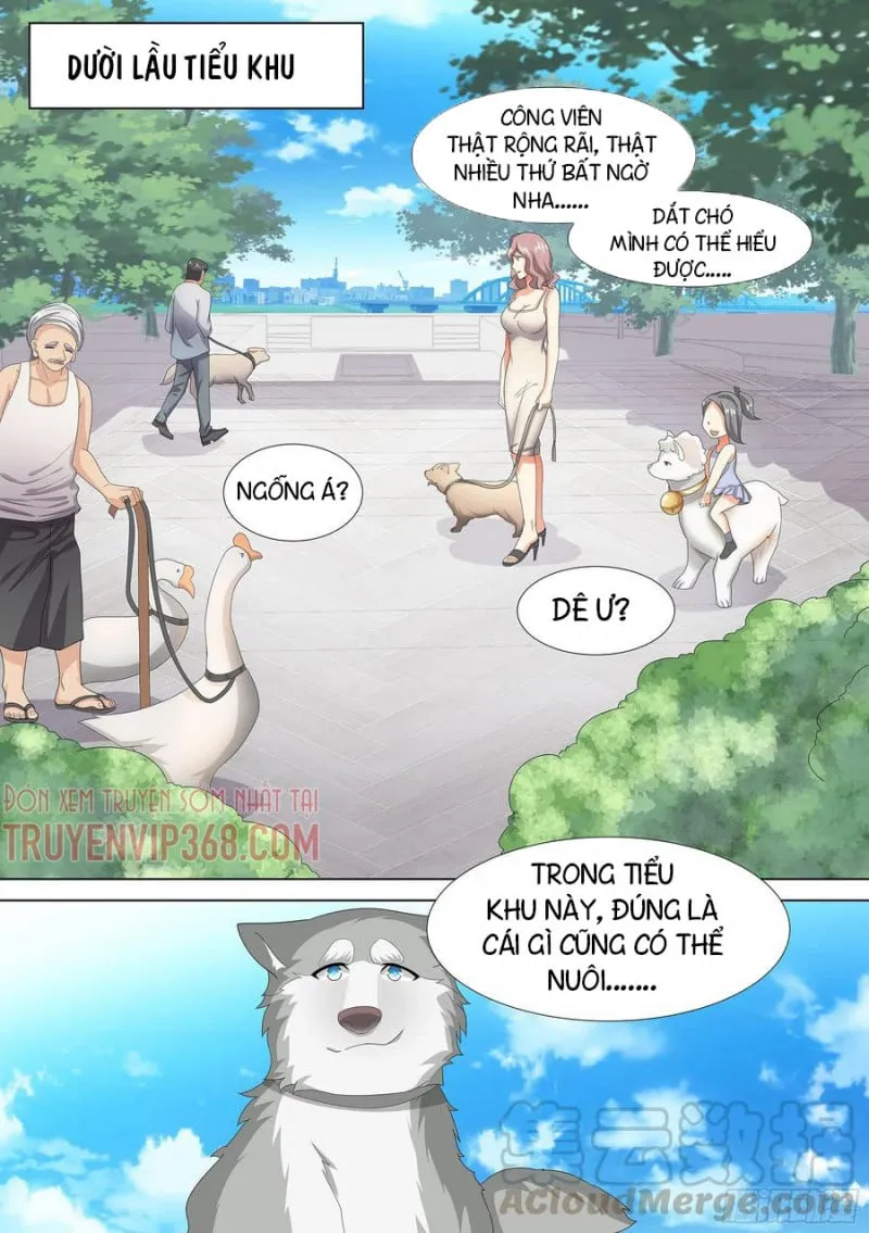 Husky Toàn Năng Của Nữ Thần Chapter 9 - Trang 14
