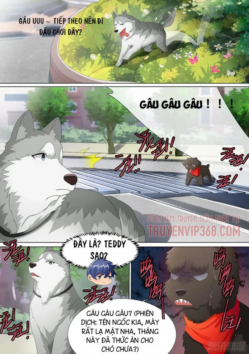 Husky Toàn Năng Của Nữ Thần Chapter 9 - Trang 15