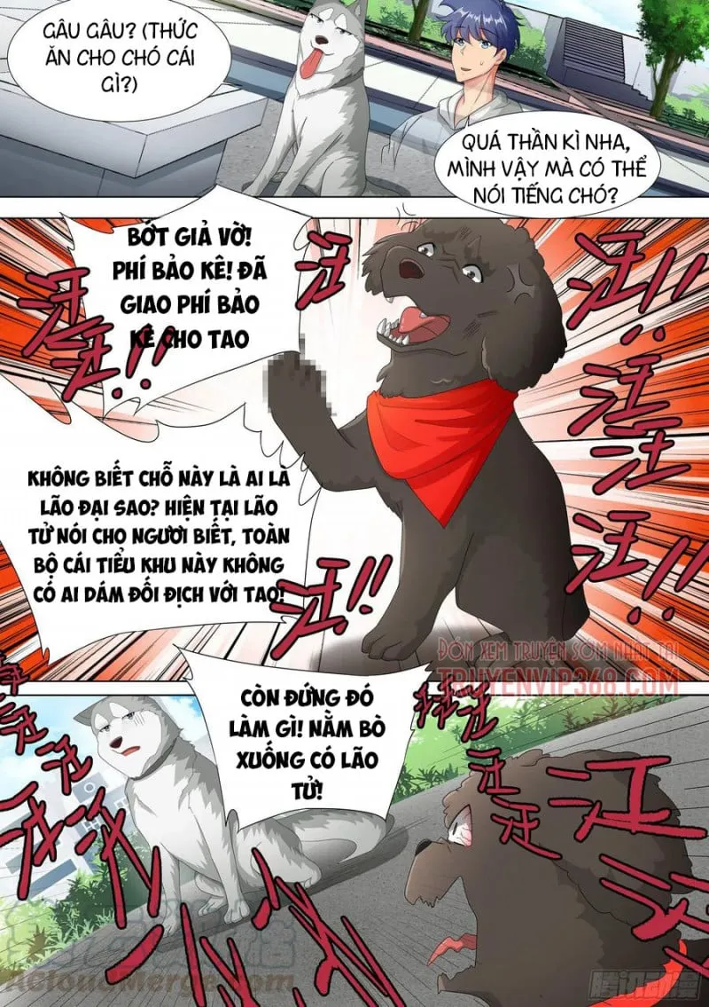 Husky Toàn Năng Của Nữ Thần Chapter 9 - Trang 16