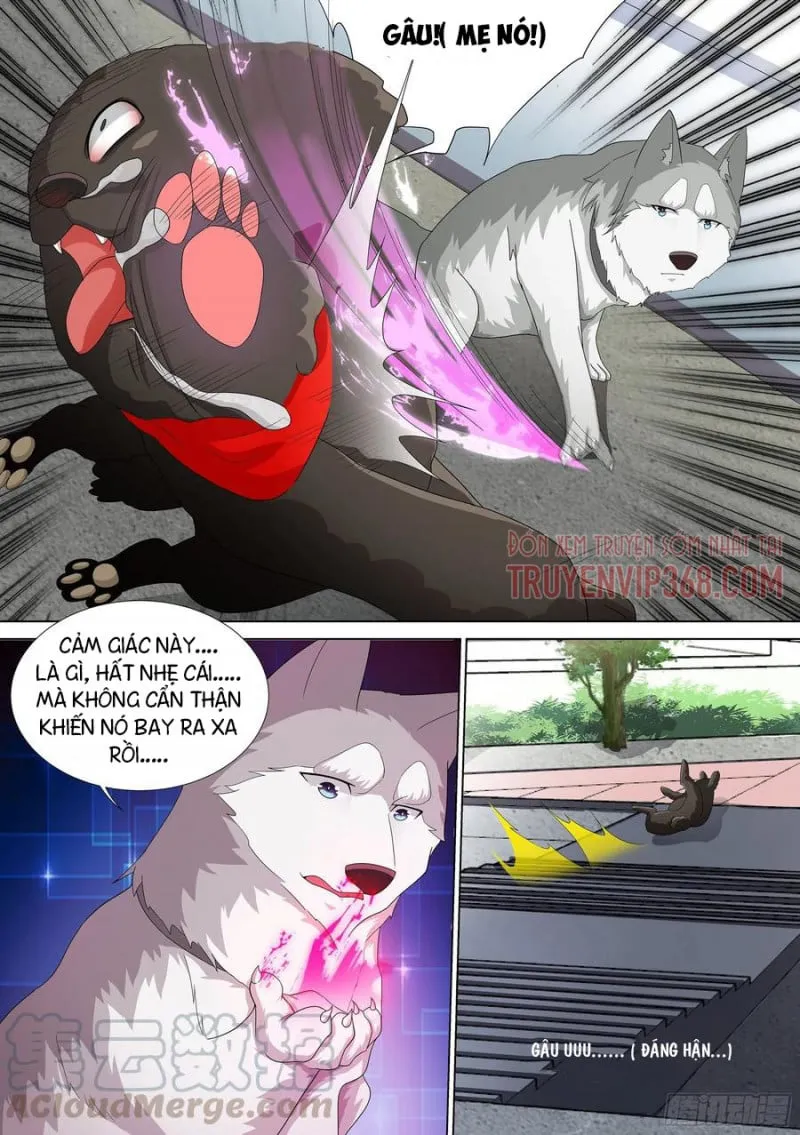 Husky Toàn Năng Của Nữ Thần Chapter 9 - Trang 18
