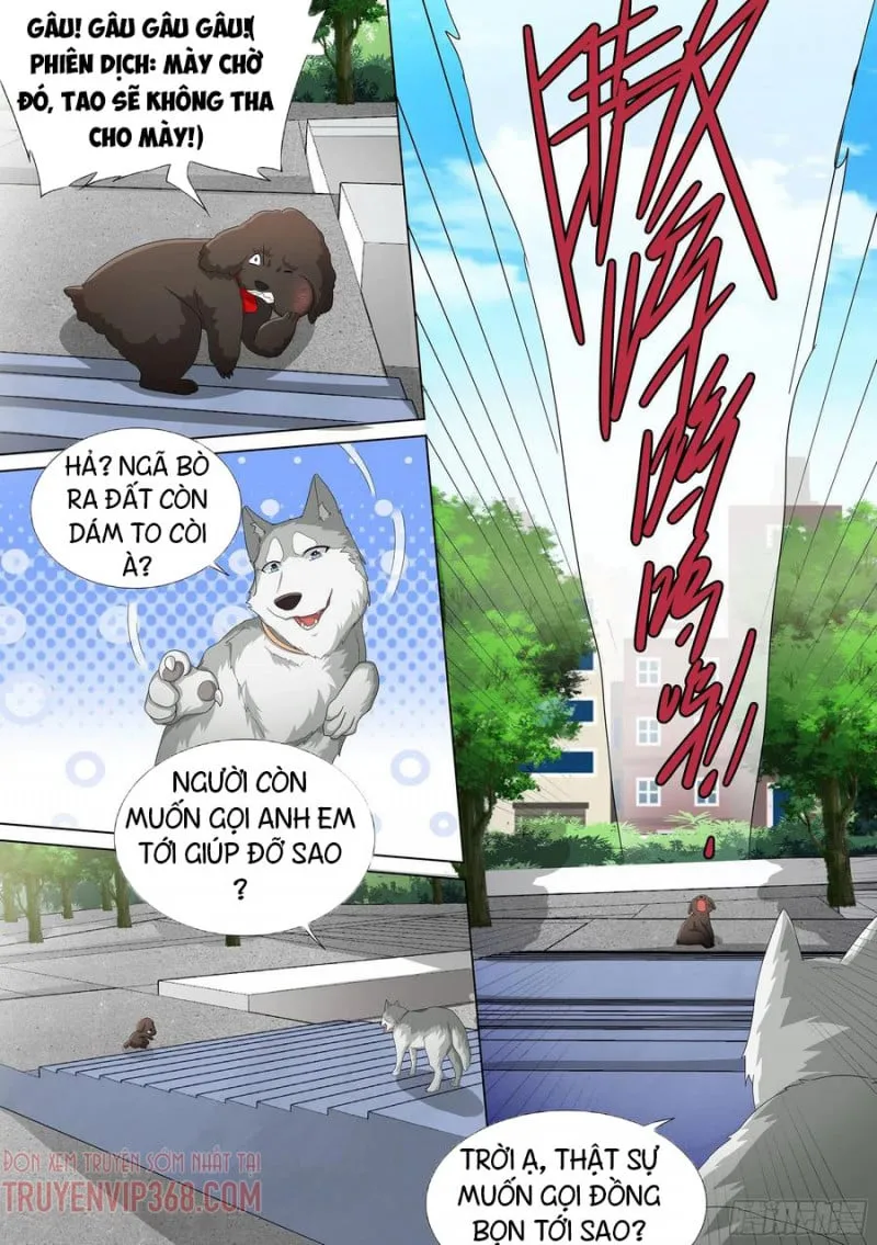 Husky Toàn Năng Của Nữ Thần Chapter 9 - Trang 19