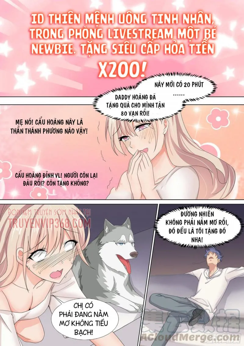 Husky Toàn Năng Của Nữ Thần Chapter 9 - Trang 6