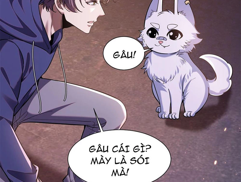 Huyễn Thú Của Ta Có Thể Tiến Hóa Vô Hạn Chapter 1 - Trang 23
