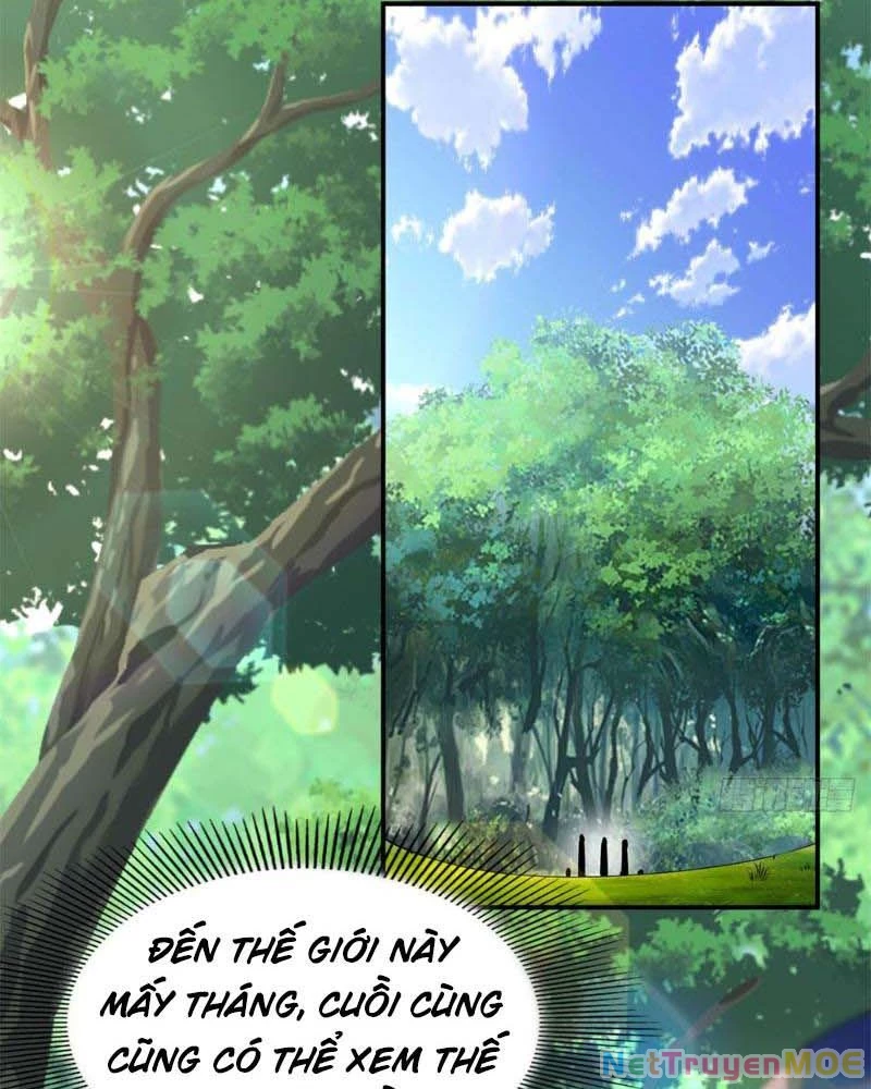 Huyễn Thú Của Ta Có Thể Tiến Hóa Vô Hạn Chapter 11 - Trang 47