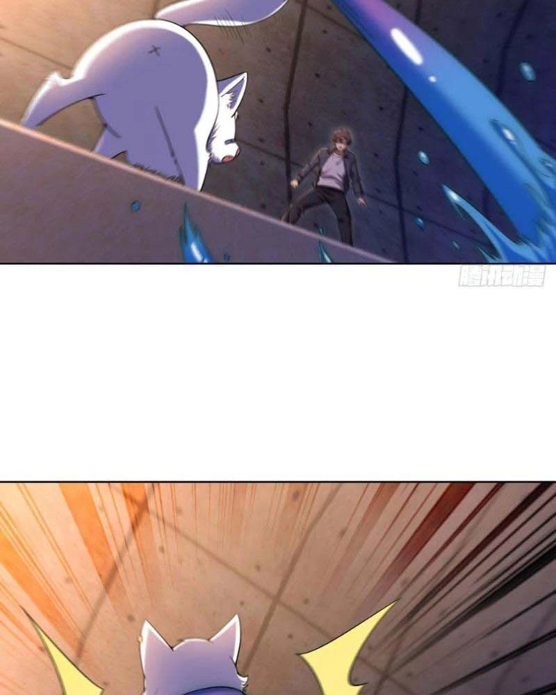 Huyễn Thú Của Ta Có Thể Tiến Hóa Vô Hạn Chapter 13 - Trang 23