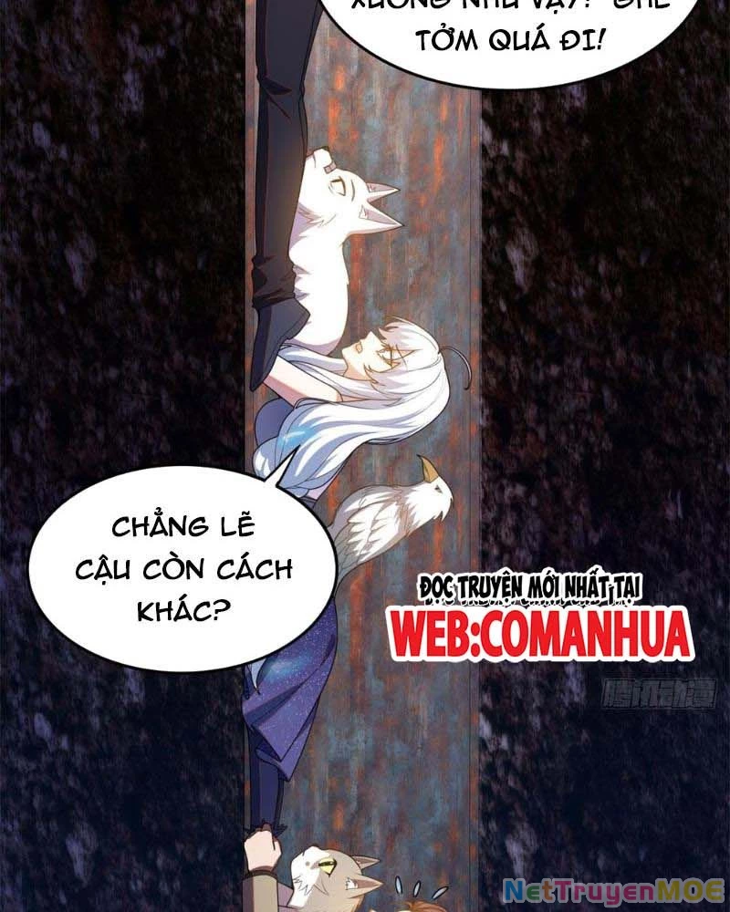 Huyễn Thú Của Ta Có Thể Tiến Hóa Vô Hạn Chapter 14 - Trang 20