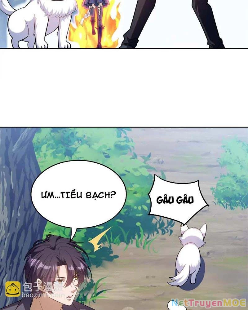Huyễn Thú Của Ta Có Thể Tiến Hóa Vô Hạn Chapter 16 - Trang 39