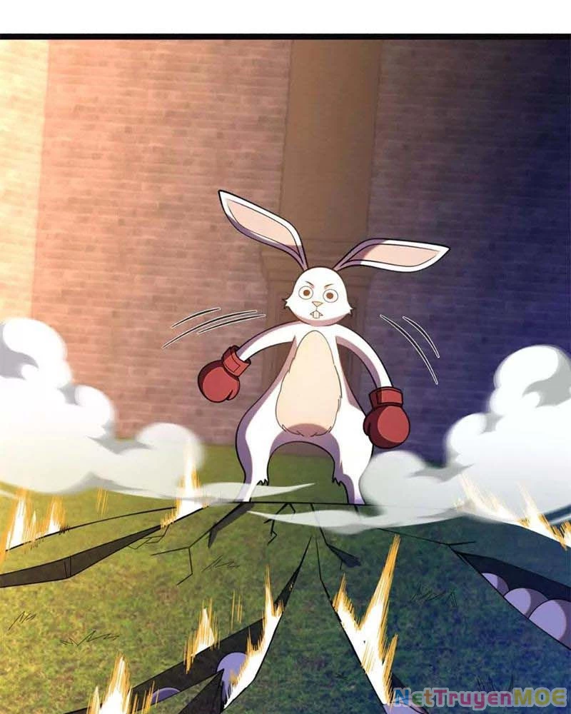 Huyễn Thú Của Ta Có Thể Tiến Hóa Vô Hạn Chapter 19 - Trang 10