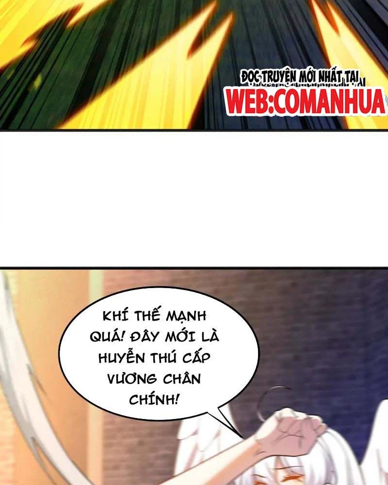 Huyễn Thú Của Ta Có Thể Tiến Hóa Vô Hạn Chapter 19 - Trang 29