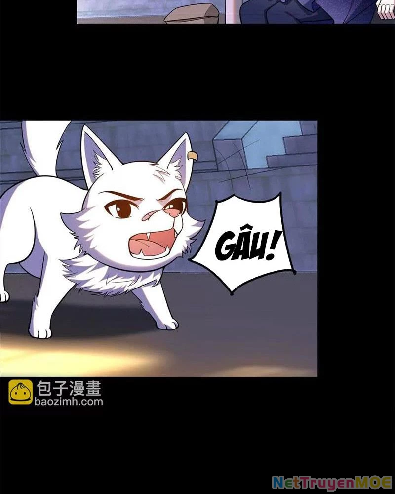 Huyễn Thú Của Ta Có Thể Tiến Hóa Vô Hạn Chapter 22 - Trang 39