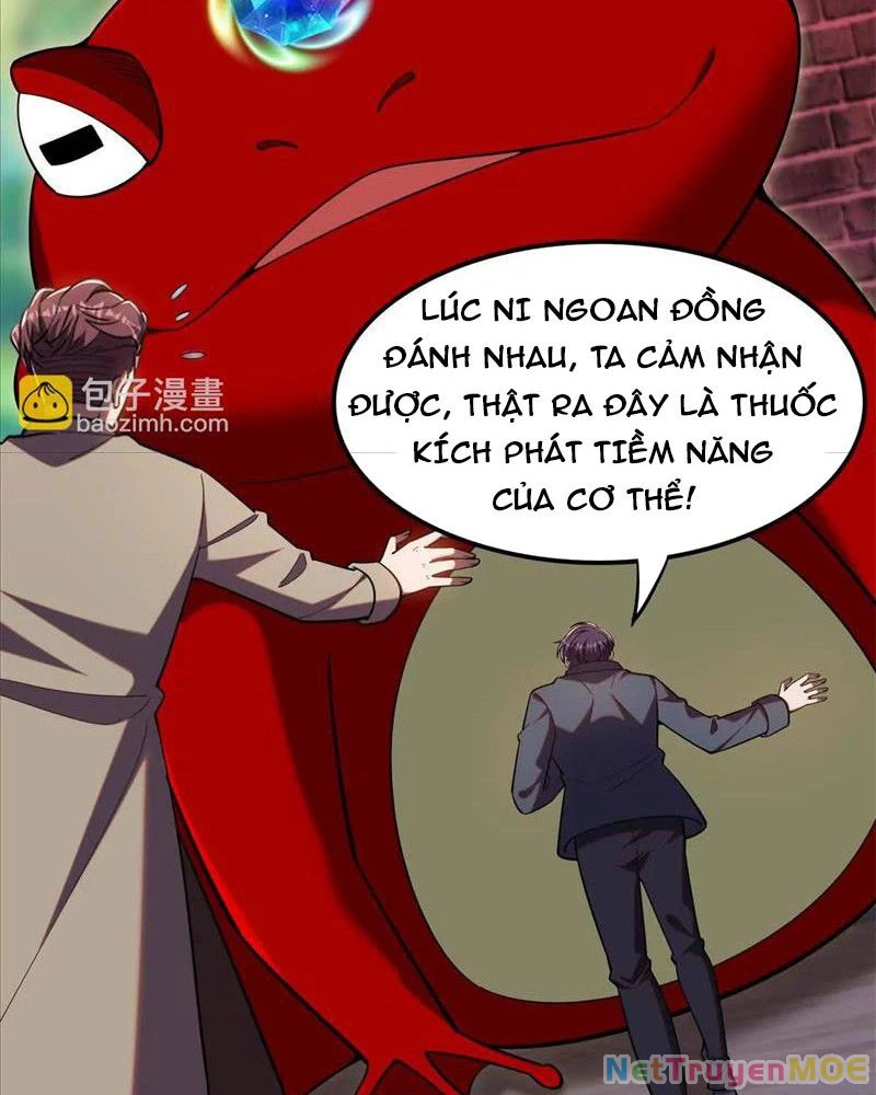 Huyễn Thú Của Ta Có Thể Tiến Hóa Vô Hạn Chapter 23 - Trang 8