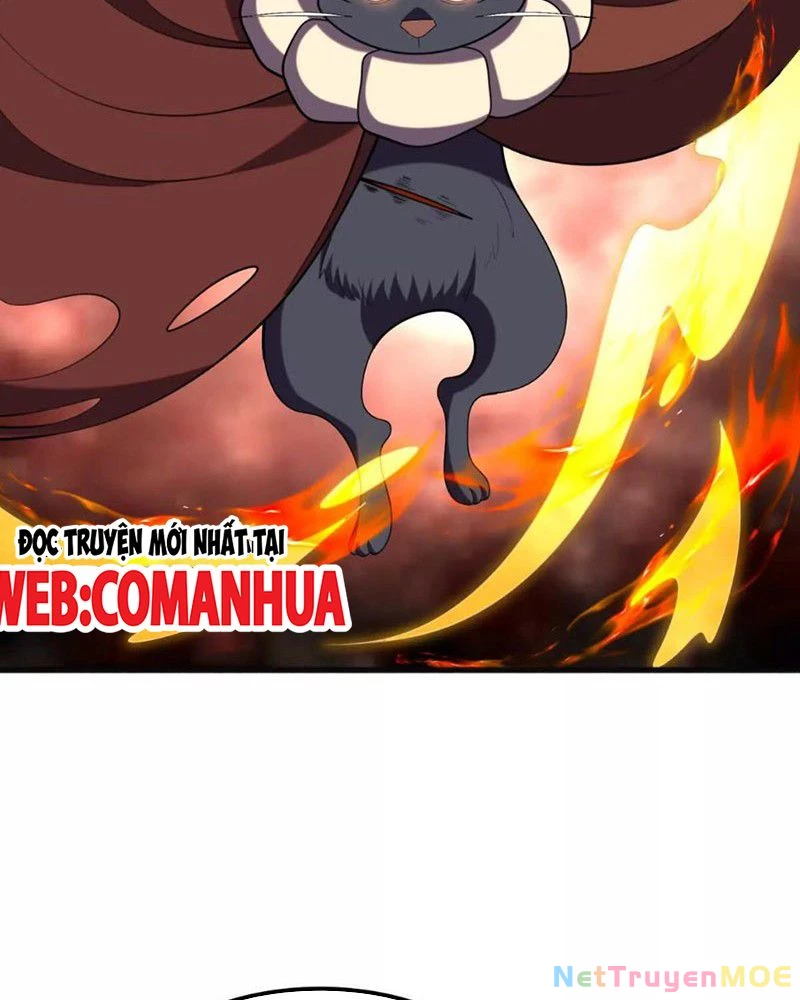Huyễn Thú Của Ta Có Thể Tiến Hóa Vô Hạn Chapter 25 - Trang 46