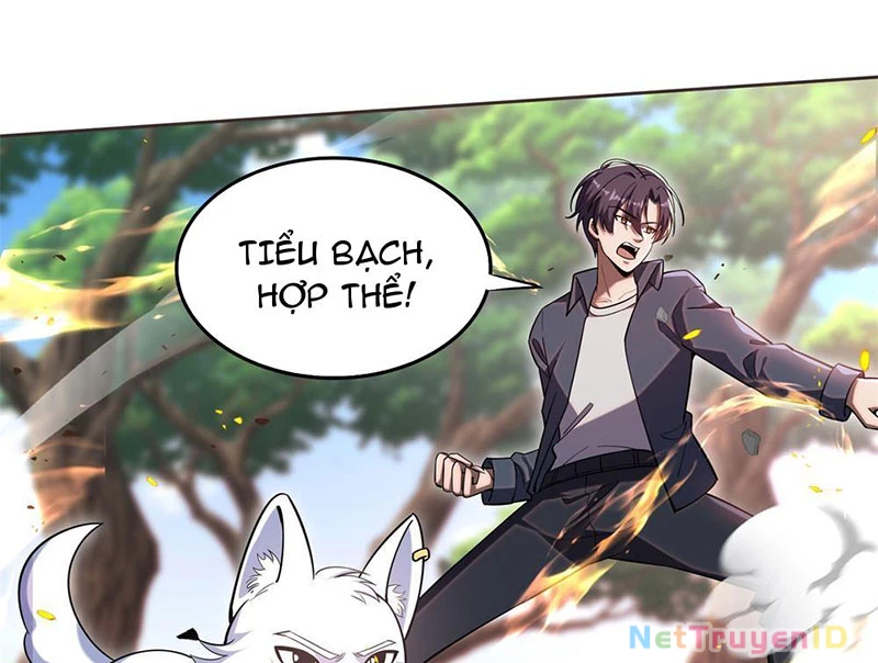 Huyễn Thú Của Ta Có Thể Tiến Hóa Vô Hạn Chapter 3 - Trang 33