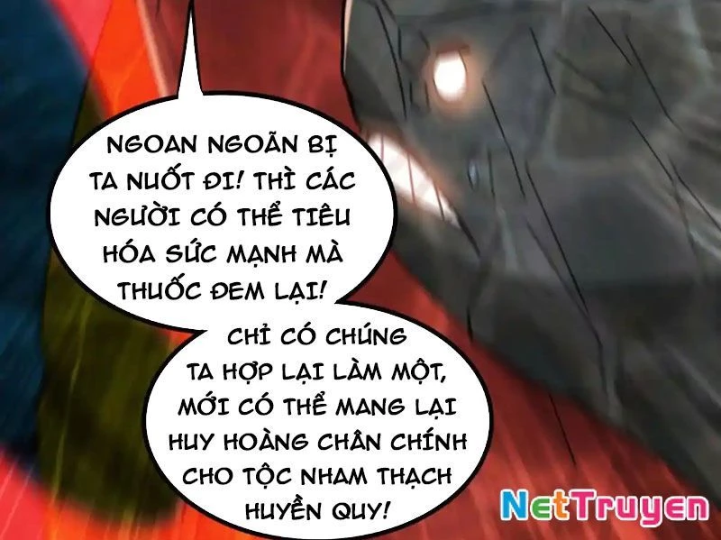 Huyễn Thú Của Ta Có Thể Tiến Hóa Vô Hạn Chapter 31 - Trang 12