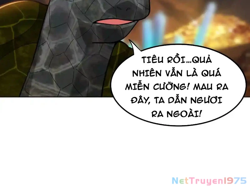 Huyễn Thú Của Ta Có Thể Tiến Hóa Vô Hạn Chapter 32 - Trang 14