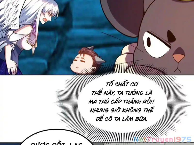 Huyễn Thú Của Ta Có Thể Tiến Hóa Vô Hạn Chapter 32 - Trang 44