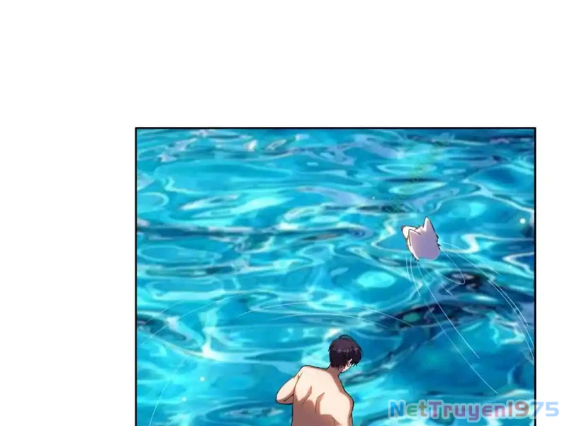 Huyễn Thú Của Ta Có Thể Tiến Hóa Vô Hạn Chapter 32 - Trang 5