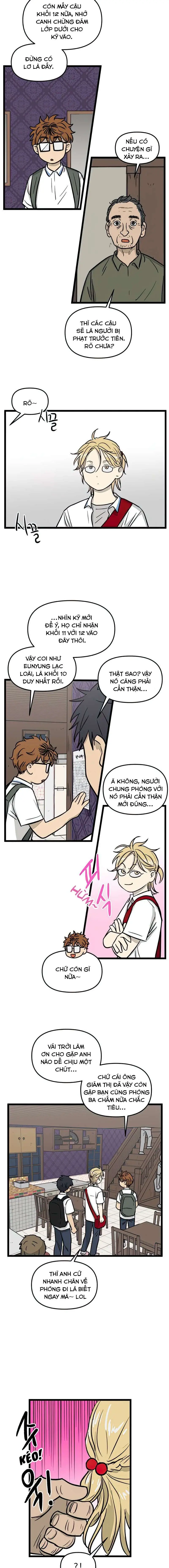 I Have No Home Chapter 127 - Trang 8