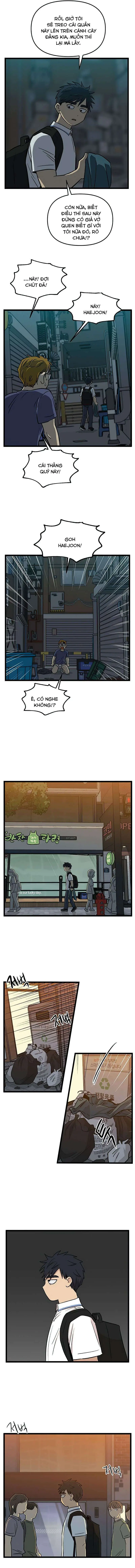 I Have No Home Chapter 145 - Trang 9
