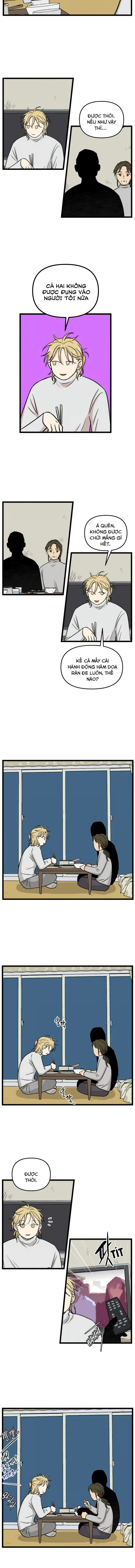 I Have No Home Chapter 204 - Trang 5