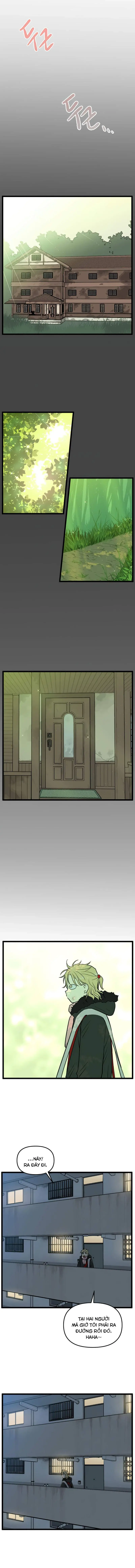 I Have No Home Chapter 206 - Trang 3
