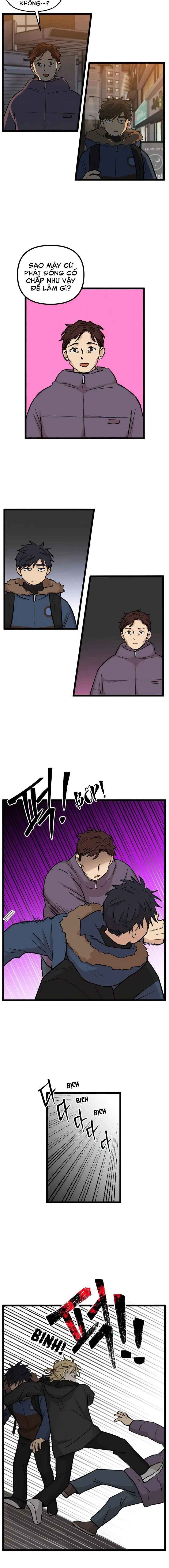 I Have No Home Chapter 211 - Trang 5