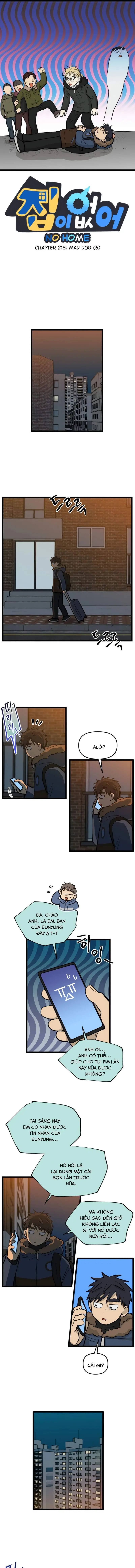 I Have No Home Chapter 213 - Trang 2